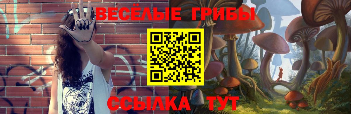 Санкт-Петербург  Галлюциногенные грибы MAGIC MUSHROOMS  Вход с VPN 
